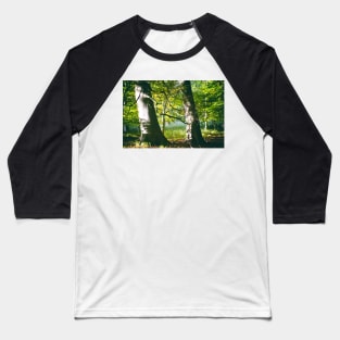 Two Beech Trees in a Wood Baseball T-Shirt